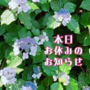 ヒメ日記 2026/06/04 13:41 投稿 まみ 横浜人妻花壇本店