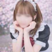 ヒメ日記 2026/04/02 12:19 投稿 ひかり 金町ゴールド