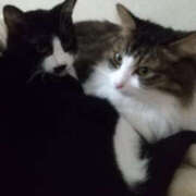 ヒメ日記 2026/03/29 06:55 投稿 ゆうな 性腺熟女100％（デリヘル市場）