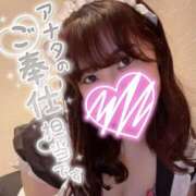 ひまわり 【ご挨拶】はじめまして ピンクハウス（横浜）