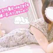 ヒメ日記 2026/03/31 19:22 投稿 ひな 横浜ひよこ倶楽部