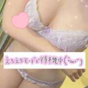 ひな こんばんはっ 横浜ひよこ倶楽部