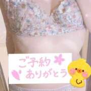 ヒメ日記 2026/07/05 13:26 投稿 ひな 横浜ひよこ倶楽部