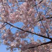 ヒメ日記 2026/04/13 06:55 投稿 綾 ぎんねこ