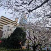 ヒメ日記 2026/04/14 06:59 投稿 綾 ぎんねこ