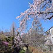 ヒメ日記 2026/05/01 07:18 投稿 綾 ぎんねこ