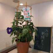 ヒメ日記 2026/07/07 07:17 投稿 綾 ぎんねこ