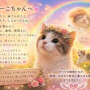 ヒメ日記 2026/08/20 07:21 投稿 綾 ぎんねこ