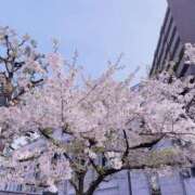 ヒメ日記 2026/04/06 18:23 投稿 元CA『嵐』のやばすぎる性欲 グッドスマイル