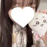 ふゆ びっくり😳 姫コレクション