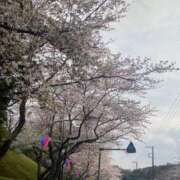 ヒメ日記 2026/03/31 00:29 投稿 のあ 茨城神栖ちゃんこ