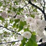 りおな 明日から the SPA KADOEBI