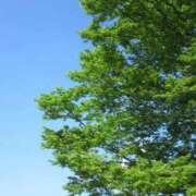 ヒメ日記 2026/04/22 18:02 投稿 りおな the SPA KADOEBI