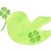 ヒメ日記 2026/04/04 11:30 投稿 生田結衣 熟女パラダイス池袋店(カサブランカグループ)