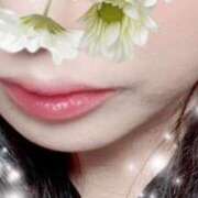 ほたる ぷるんぷるん😌✨ 台北(たいぺい）