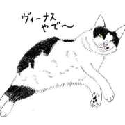 ヒメ日記 2026/04/06 07:43 投稿 志穂 ぎんねこ