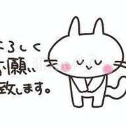 ヒメ日記 2026/04/11 06:52 投稿 志穂 ぎんねこ