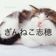 ヒメ日記 2026/04/15 06:17 投稿 志穂 ぎんねこ