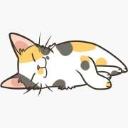 ヒメ日記 2026/04/19 08:50 投稿 志穂 ぎんねこ