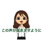 ヒメ日記 2026/04/29 10:05 投稿 志穂 ぎんねこ