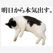 ヒメ日記 2026/04/30 18:24 投稿 志穂 ぎんねこ