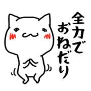 ヒメ日記 2026/05/03 07:39 投稿 志穂 ぎんねこ