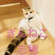 ヒメ日記 2026/05/06 08:34 投稿 志穂 ぎんねこ