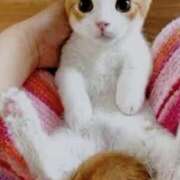 ヒメ日記 2026/08/09 09:26 投稿 志穂 ぎんねこ