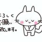 ヒメ日記 2026/08/11 09:27 投稿 志穂 ぎんねこ