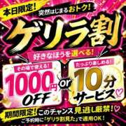 ヒメ日記 2026/04/24 19:00 投稿 ダイヤ 兵庫加東小野ちゃんこ