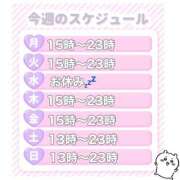 藍川ななせ 今週の出勤予定💕 Guilty concept A