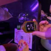 ヒメ日記 2026/03/26 00:26 投稿 ねお みつばちマーヤZ