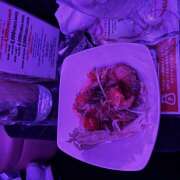 ヒメ日記 2026/03/28 01:24 投稿 ねお みつばちマーヤZ