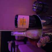 ヒメ日記 2026/04/03 01:14 投稿 ねお みつばちマーヤZ