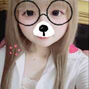 ヒメ日記 2026/04/28 17:51 投稿 ねお みつばちマーヤZ