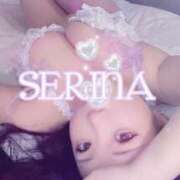 ヒメ日記 2026/04/14 10:42 投稿 せりな 厚木人妻城