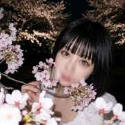 夏目マイカ 桜日和🌸 ウルトラハピネス