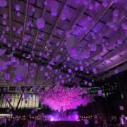 ヒメ日記 2026/04/01 21:56 投稿 うた 桜色学園