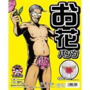 ヒメ日記 2026/04/08 11:01 投稿 ひめか GODZUMA（ゴッヅマ）