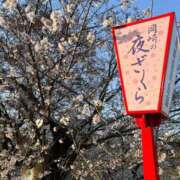 ヒメ日記 2026/03/27 19:11 投稿 みゆ【3/26デビュー】 Aroma de TOKYO 三河店（岡崎・豊田・安城）