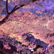 ヒメ日記 2026/03/28 22:22 投稿 いのり 即イキ淫乱倶楽部 柏店