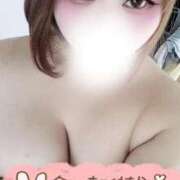 ヒメ日記 2026/04/07 16:24 投稿 まき 山口下関ちゃんこ