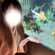 ヒメ日記 2026/03/28 23:13 投稿 ちあ（芸能人級美少女×キス魔！ ハニービー（Honey Bee）