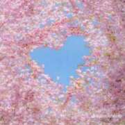 ヒメ日記 2026/03/26 14:55 投稿 清水せいら(しみずせいら) 桃色奥様(佐賀)