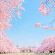 ヒメ日記 2026/03/26 17:45 投稿 清水せいら(しみずせいら) 桃色奥様(佐賀)