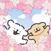 ヒメ日記 2026/04/09 18:25 投稿 清水せいら(しみずせいら) 桃色奥様(佐賀)