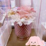 ヒメ日記 2026/04/11 11:45 投稿 清水せいら(しみずせいら) 桃色奥様(佐賀)