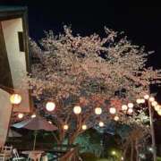 ヒメ日記 2026/04/22 13:55 投稿 清水せいら(しみずせいら) 桃色奥様(佐賀)