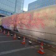 ヒメ日記 2026/04/16 18:51 投稿 美園みみ（みそのみみ） 桃色奥様(佐賀)