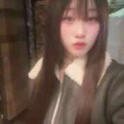 ヒメ日記 2026/03/31 12:08 投稿 つきの アラカルト